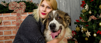 Noël du chien